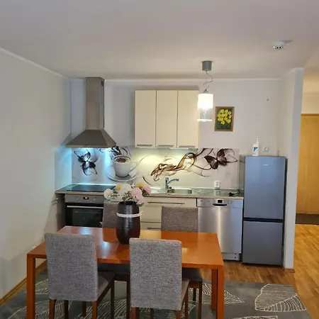 Spacious In Center Apartment *