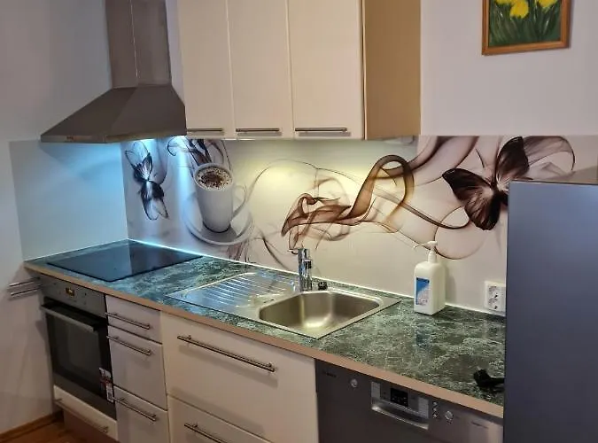 아파트 Spacious In Center 탈린